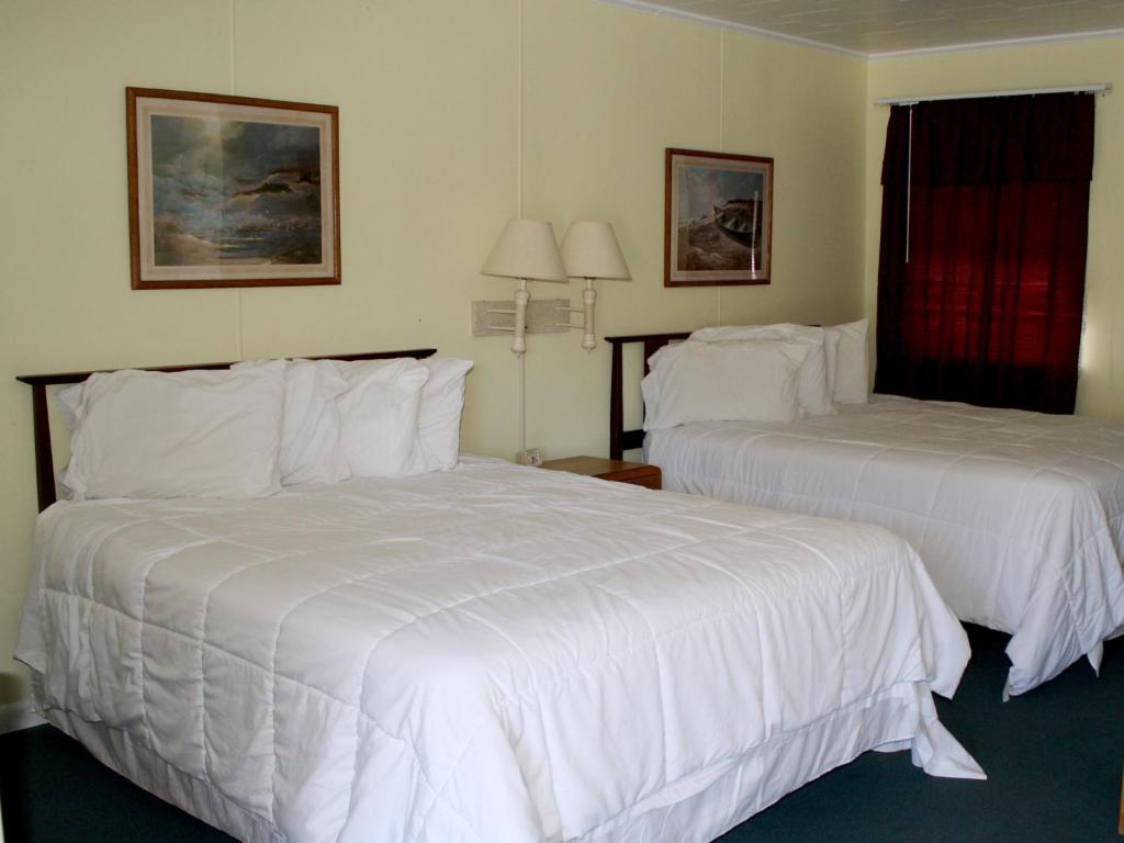 Falcon Motel Buxton Bilik gambar