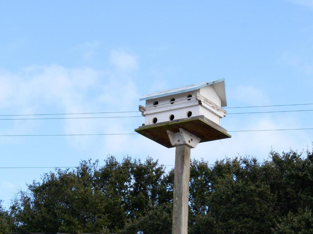 Falcon Motel Buxton Luaran gambar